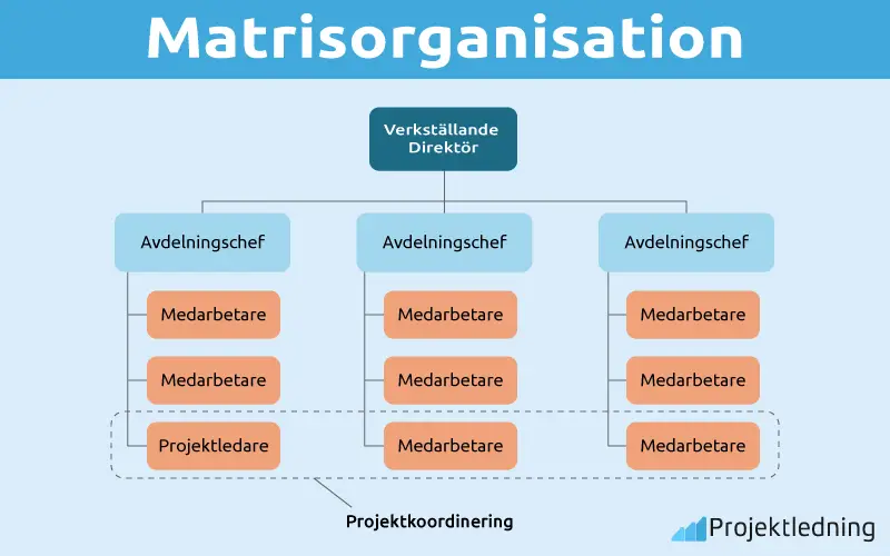 Matrisorganisation