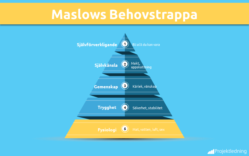 Maslows Belovstrappa Fysologi