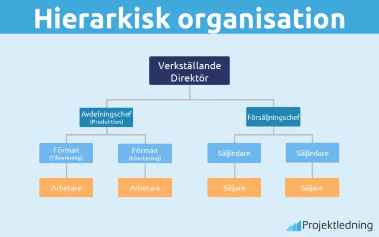 Hierarkisk organisation: Pyramidformad organisationsstruktur [Guide 2024 ]