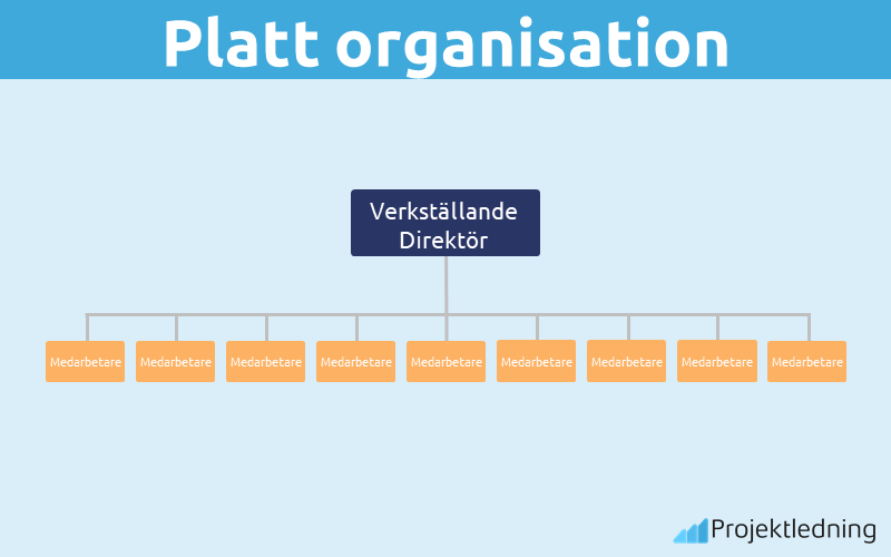 Platt organisation max