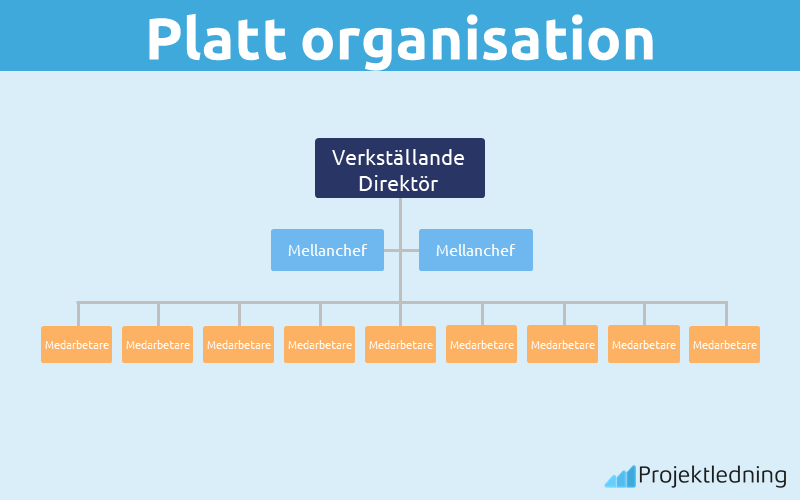 Platt organisation