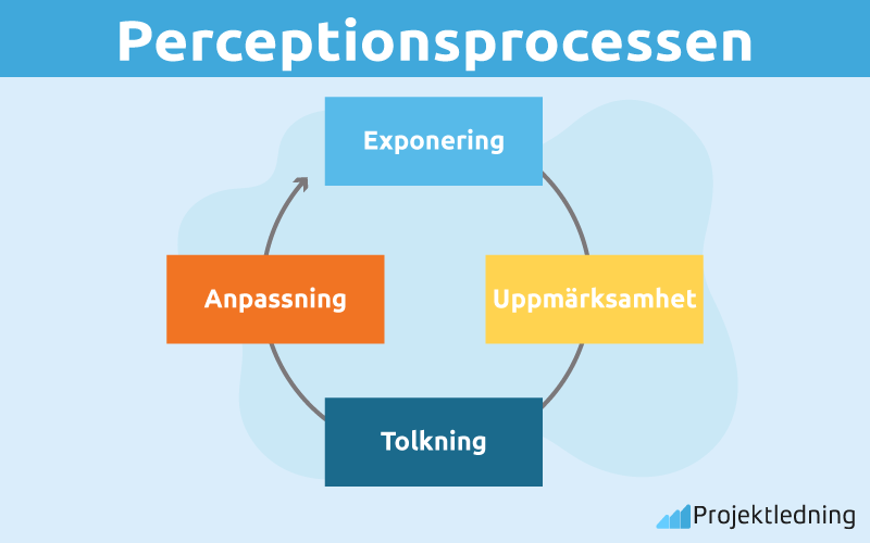 Perceptionsprocessen
